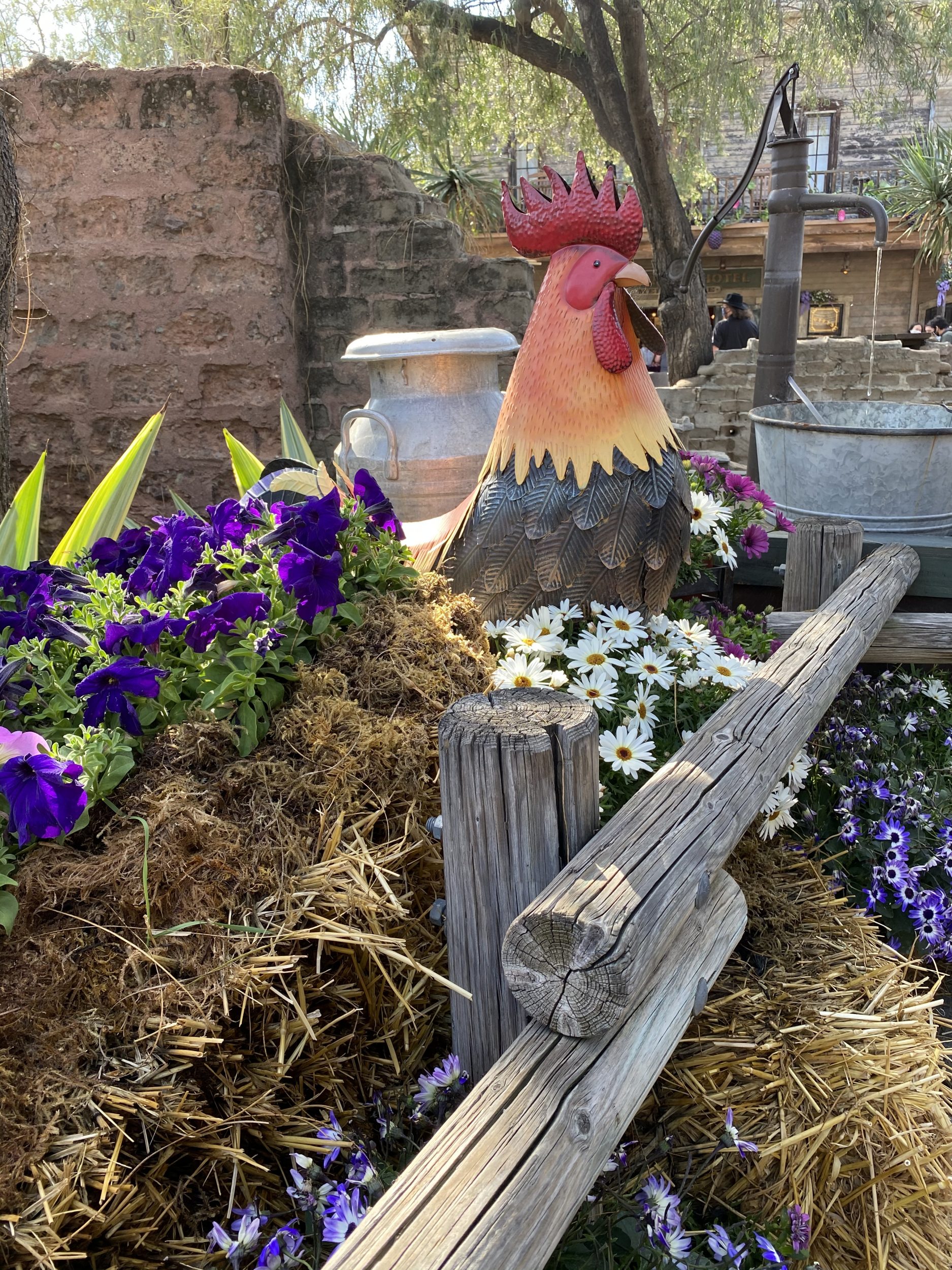 large rooster character is colorful amongst the flowers at Knott's Berry Farm