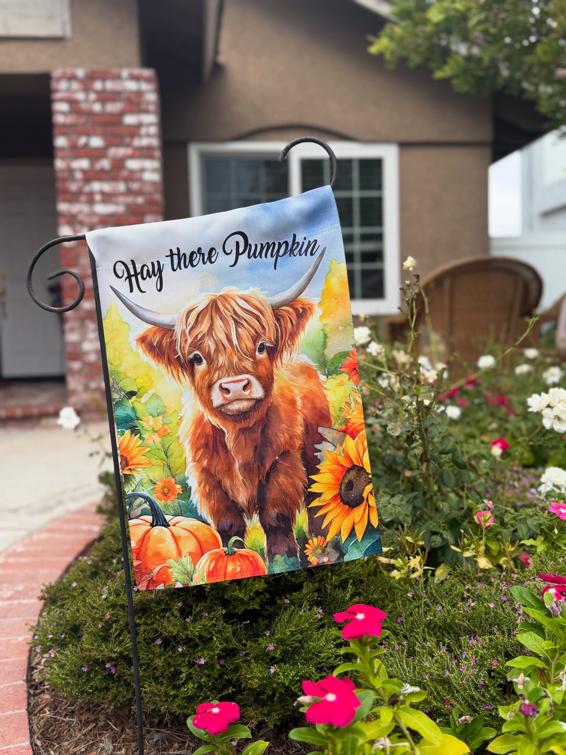 fall Highland cow front yard banner makes me think of my scottish hero in my book No Plan at All