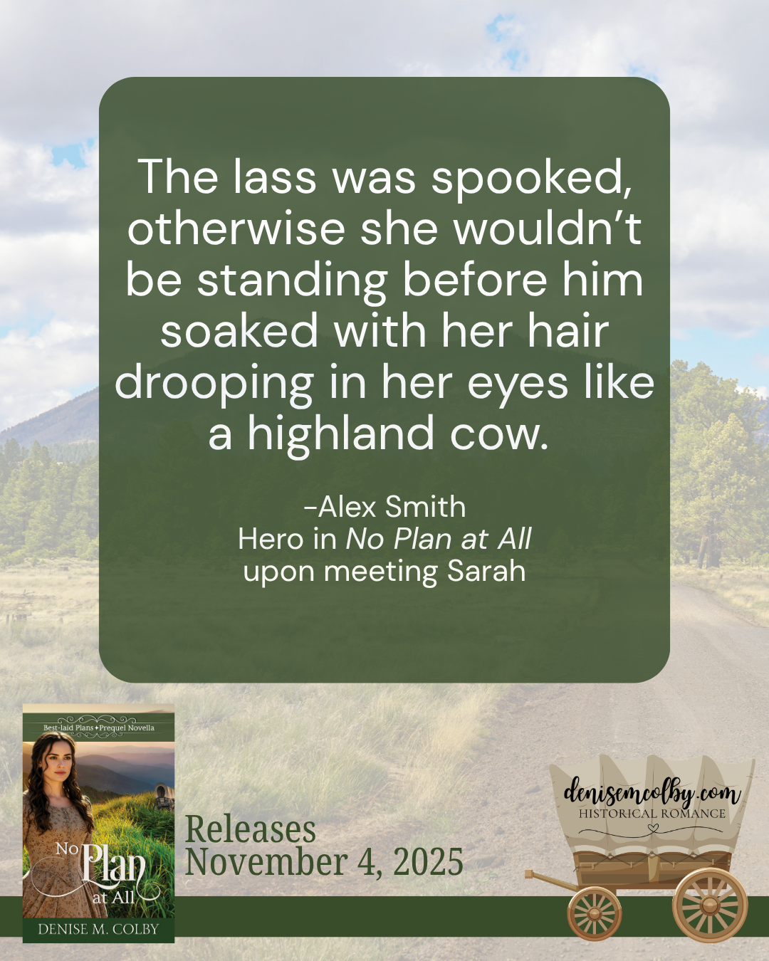 book quote in No Plan at All, by denise m. colby from the scottish hero Alex