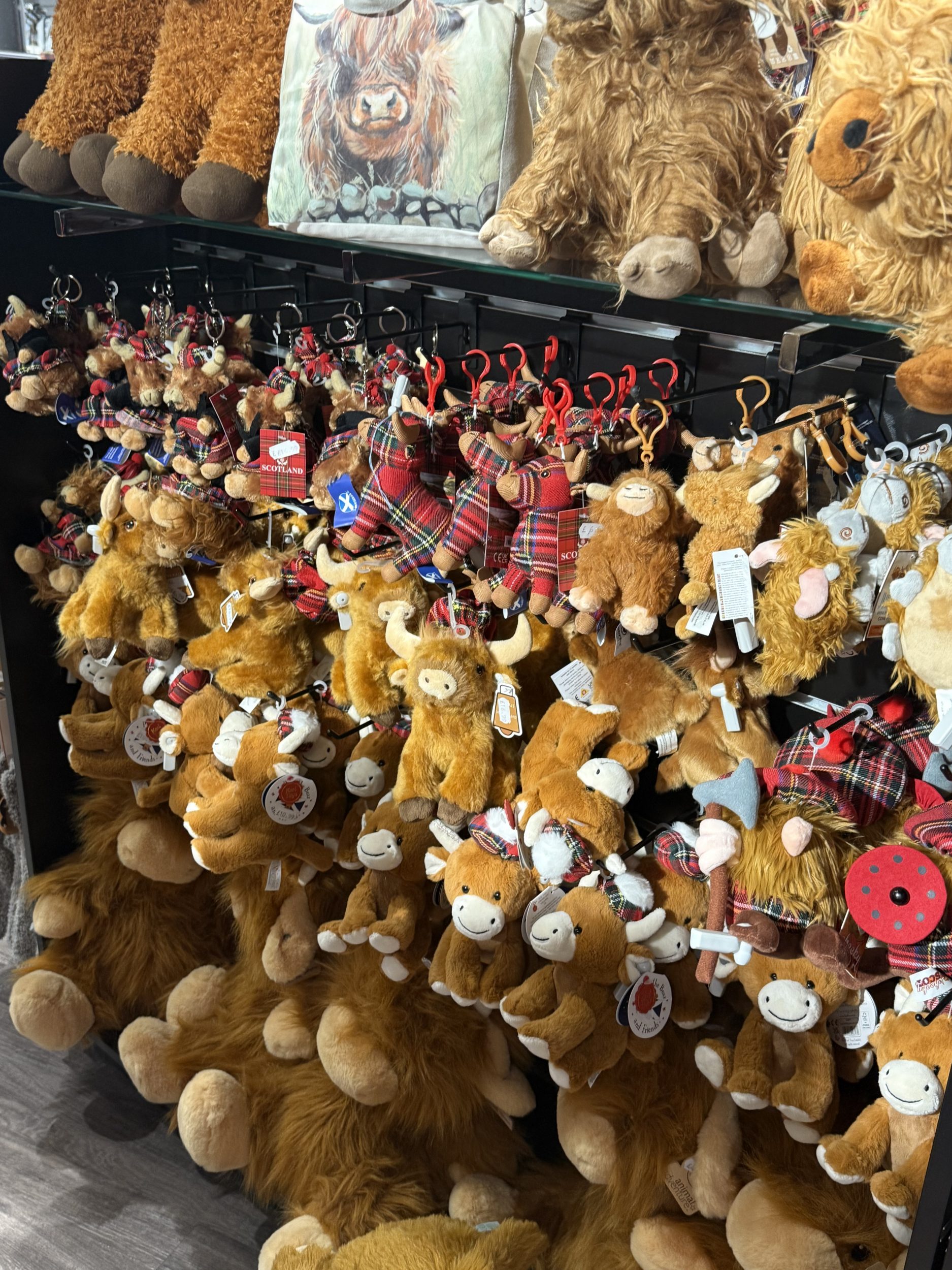 highland cow stuffed animals in Scotland stores