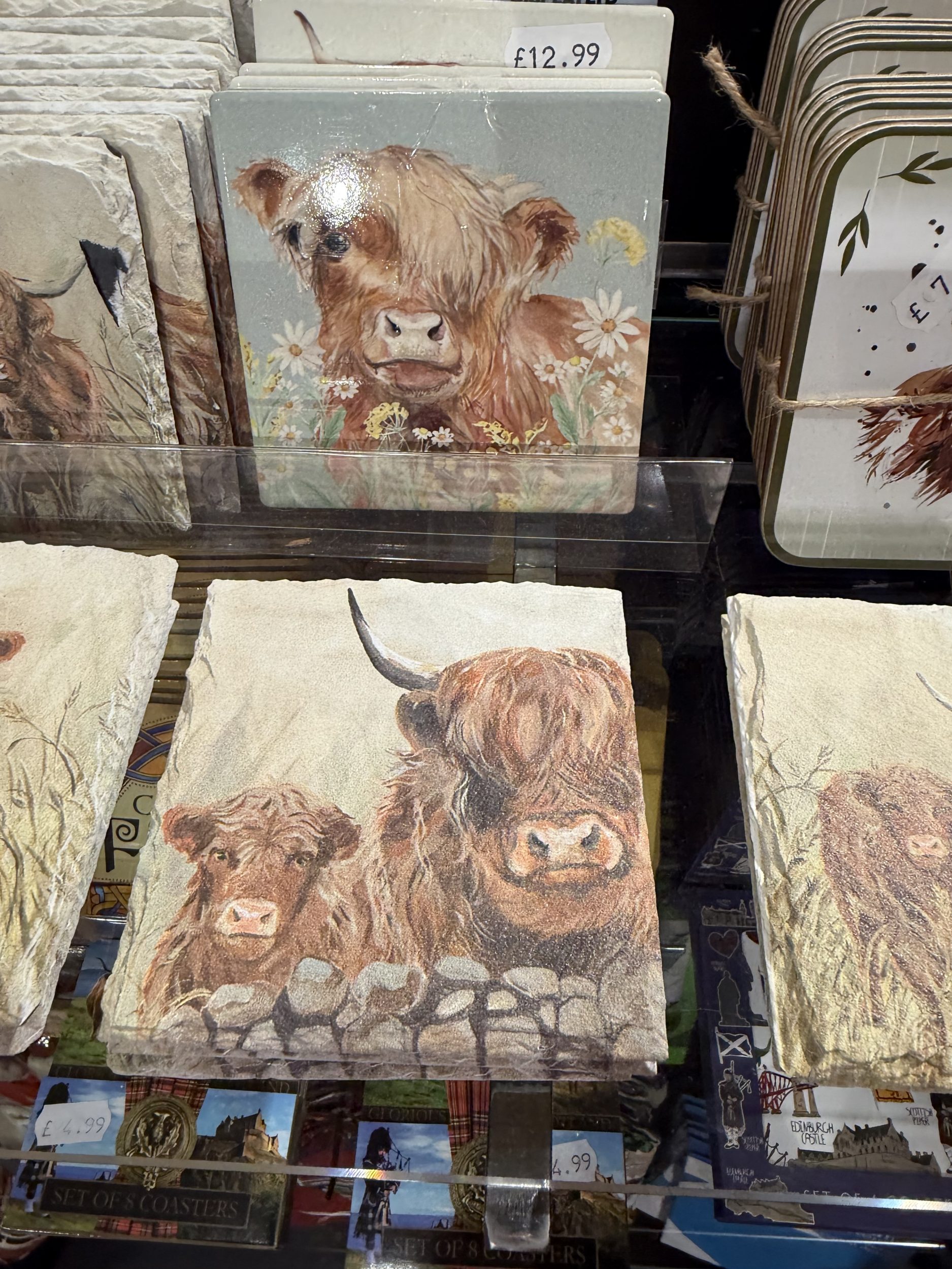 highland cow merch in Scotland