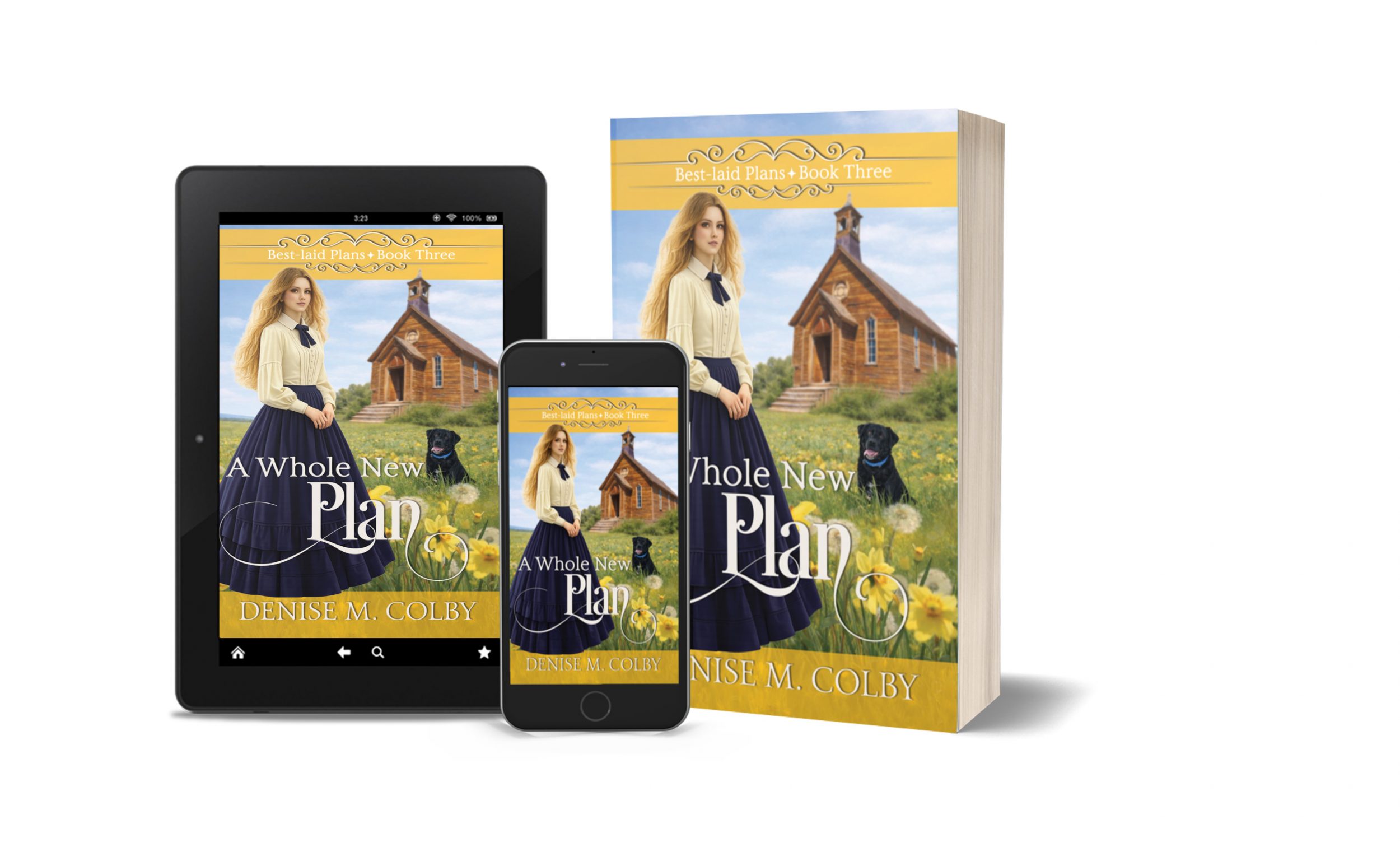 A Whole New Plan releases May 26, 2026 and is a historical romance set in California image shows in both paperback and e-book formats for tablets and phones