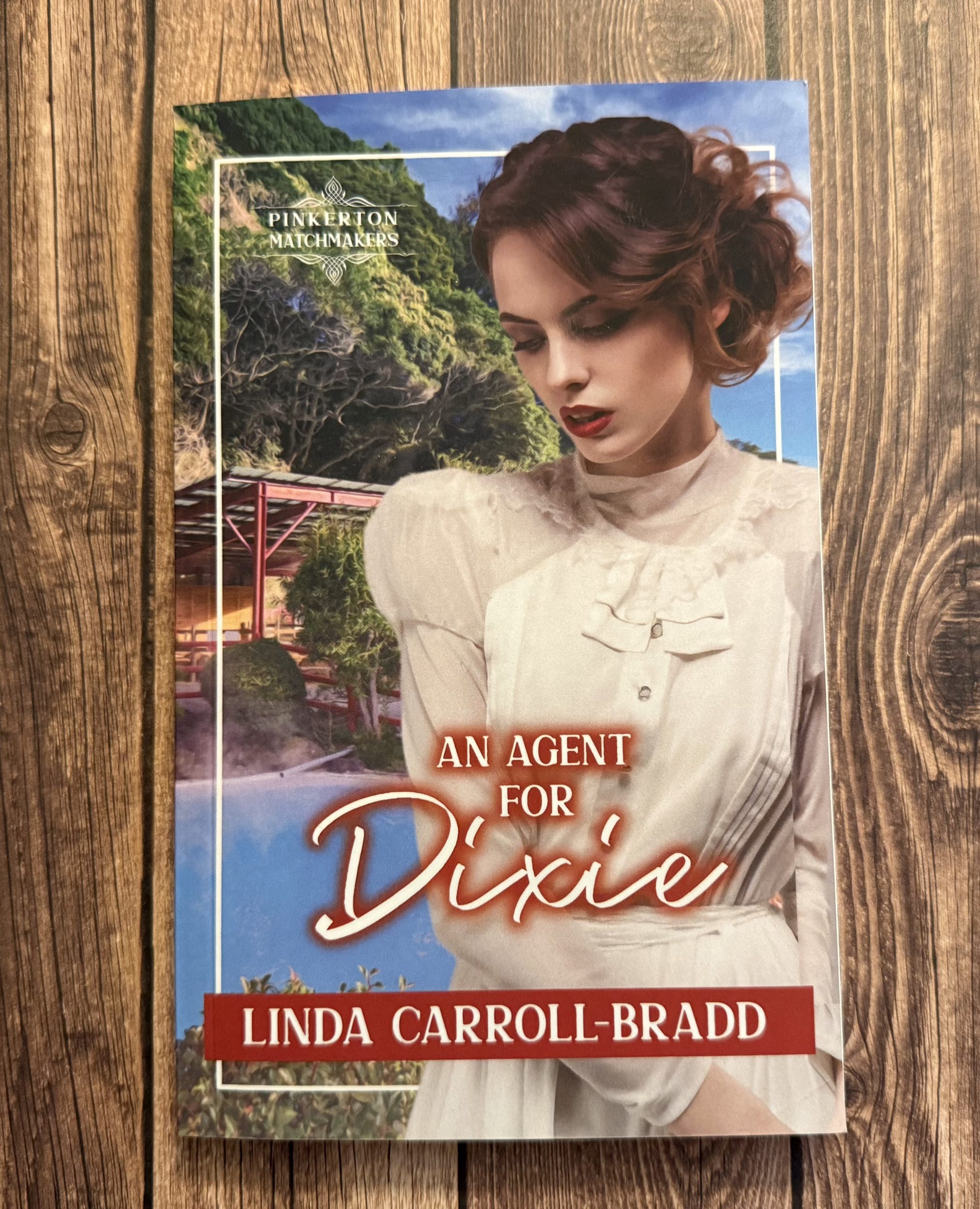 An Agent for Dixie by Linda Carroll-Bradd is part of the Pinkerton Matchmaker series